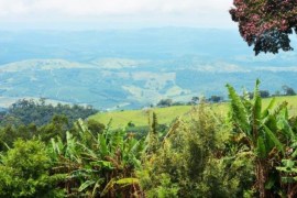 卢旺达：从死亡、饥饿到生活