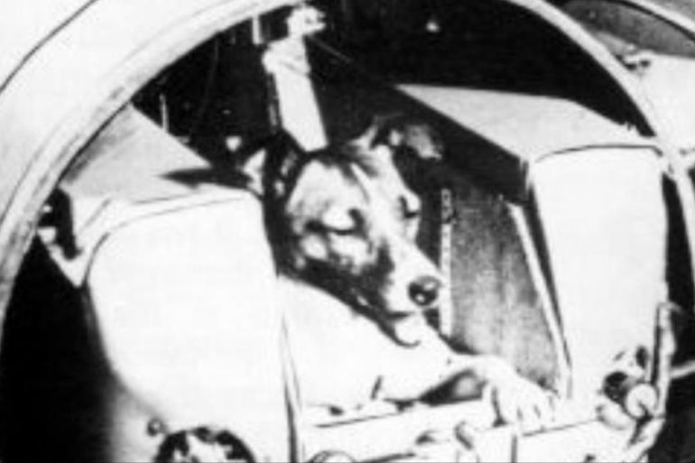 Why did the Soviets send dogs into space and the Americans used monkeys?