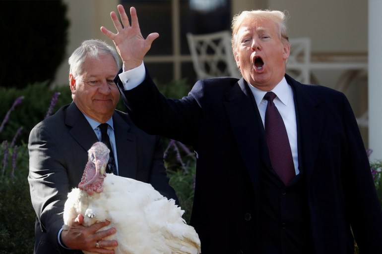 U.S. President Trump pardons Thanksgiving turkey "Peas" during ceremony at White House in Washington