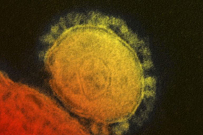 فيروس كورونا ينتمي إلى عائلة الفيروسات التاجية (رويترز)