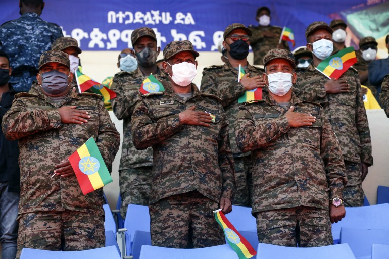 Support from Ethiopians to Government Forces