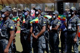 Support from Ethiopians to Government Forces