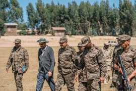 Ethiopia's Prime Minister joins battlefront against rebel groups