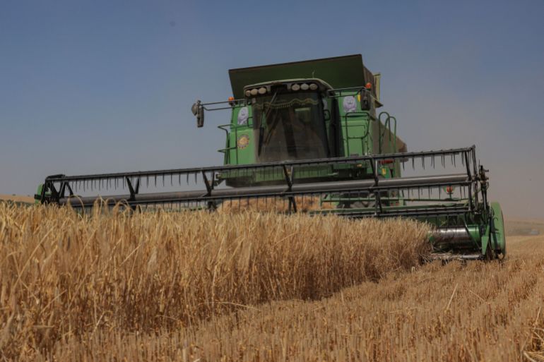 Barley harvest in Odesa region amid Russia's attack on Ukraine