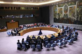联合国安理会在法国的请求下召开紧急会议 (法国媒体)